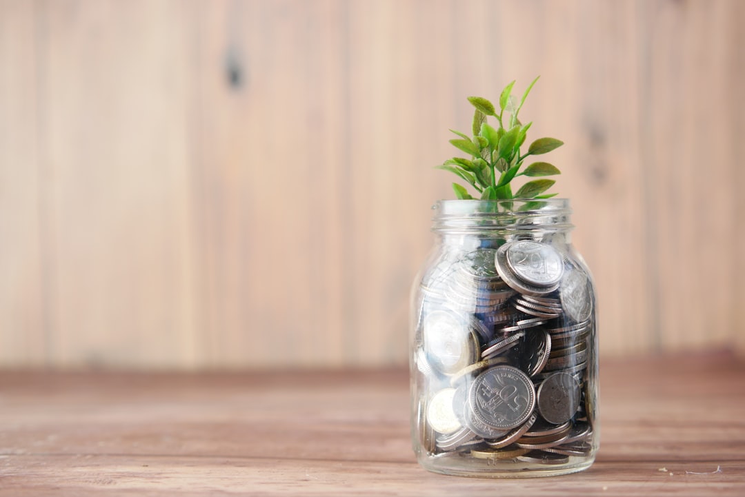 Investment Strategies